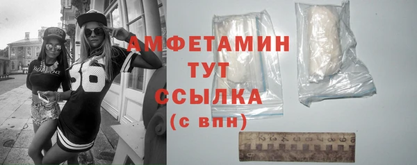 ГАЛЛЮЦИНОГЕННЫЕ ГРИБЫ Богданович