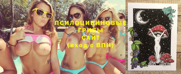 гашик Белокуриха